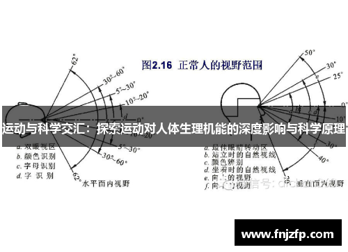 运动与科学交汇：探索运动对人体生理机能的深度影响与科学原理
