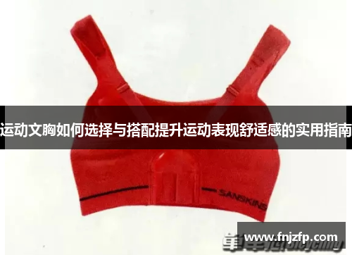 运动文胸如何选择与搭配提升运动表现舒适感的实用指南